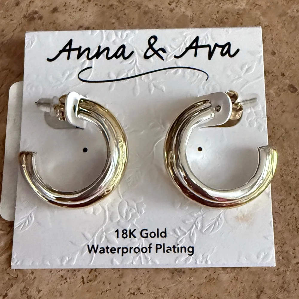 NWT Anna & Ava 18K Gold Plated Hoop Earrings